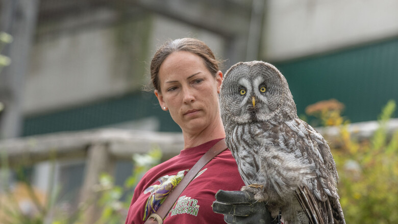 Falknerin Kerstin mit dem Bartkauz | © Tinitmax Photography